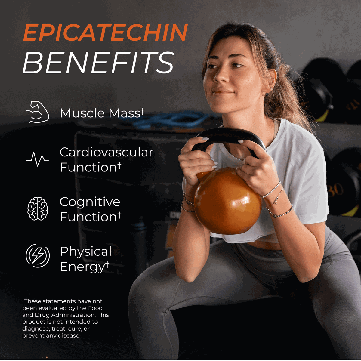 Epicatechin Daily Fitness Supplement Nutritional Support