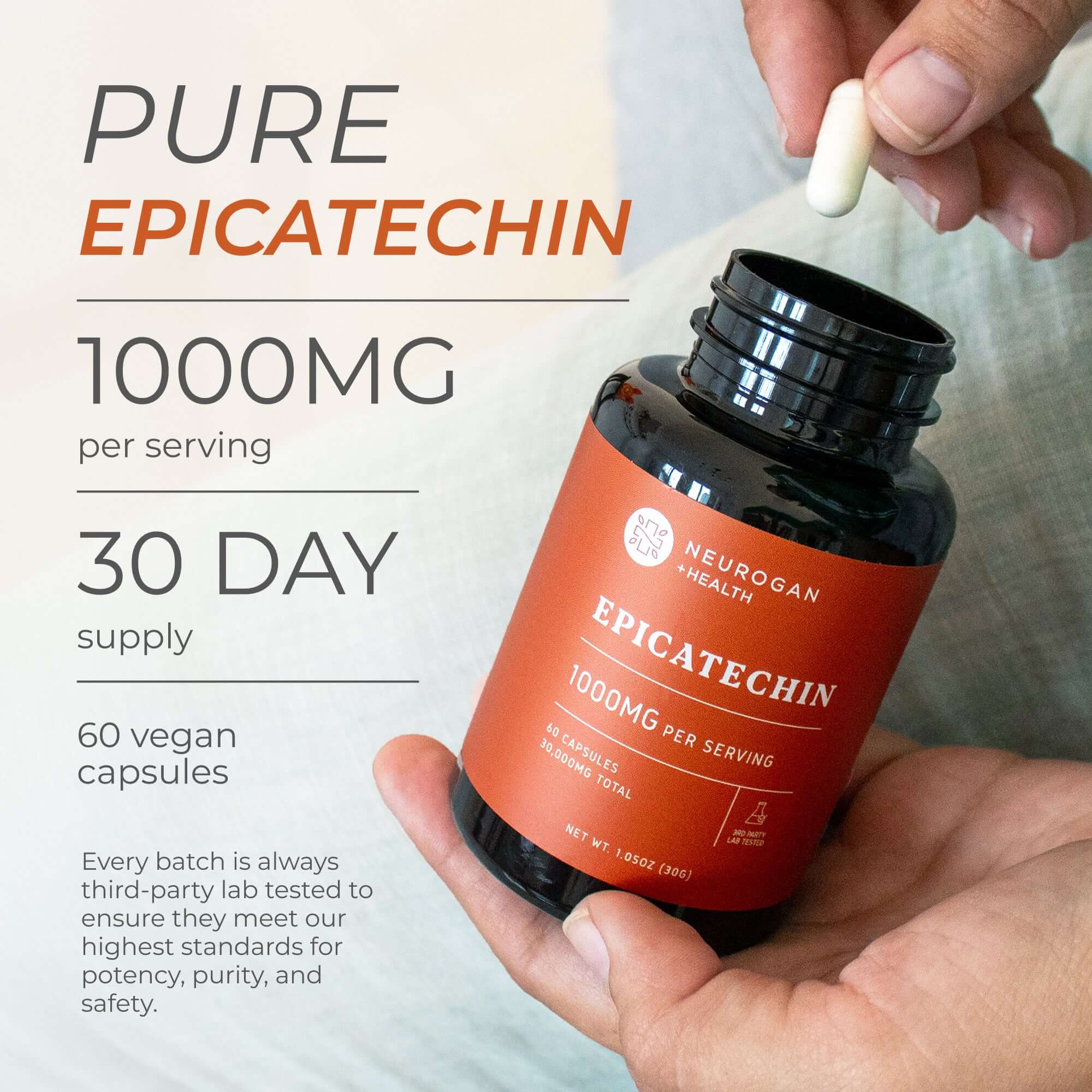 Epicatechin Daily Fitness Supplement Nutritional Support