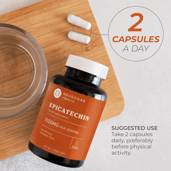 Epicatechin Daily Fitness Supplement Nutritional Support
